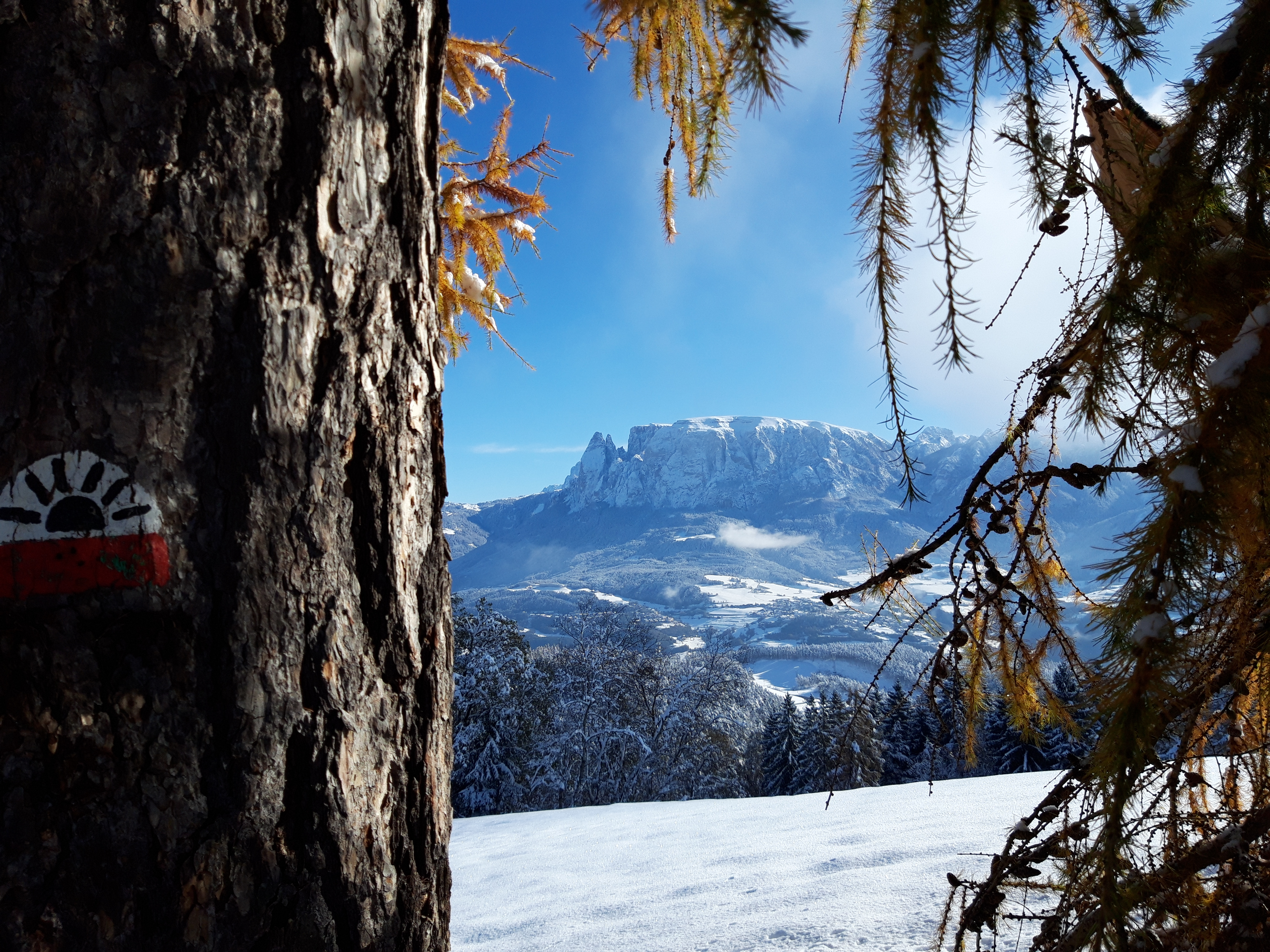 Wandern an frischer Luft Südtirol/Ritten