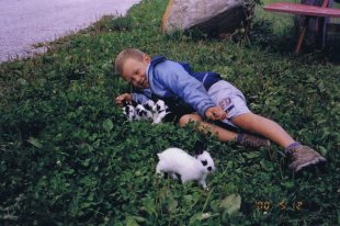 Kaninchen zum Kuscheln