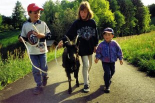 Kinder lieben Tiere am Bauernhof
