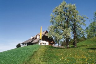 Plattnerhof -Bienenmuseum