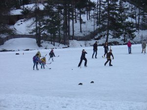 Eishockey am Wolfsgrubner See 