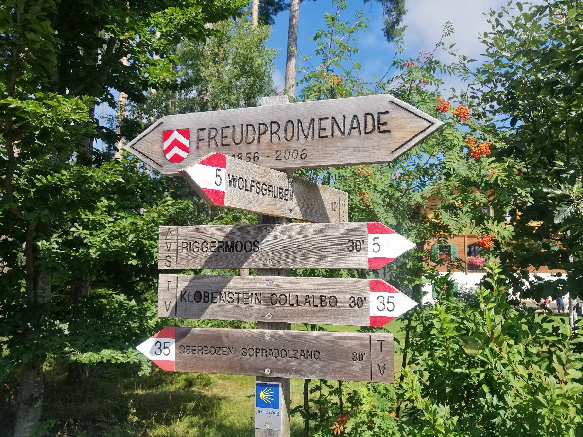 Wanderwege soviel das Herz begehrt- alles fußläufig vom Untertrotnerhof aus